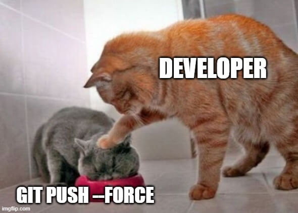 git push force